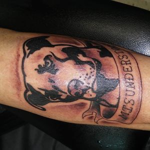 Meet your Posher, Shawn